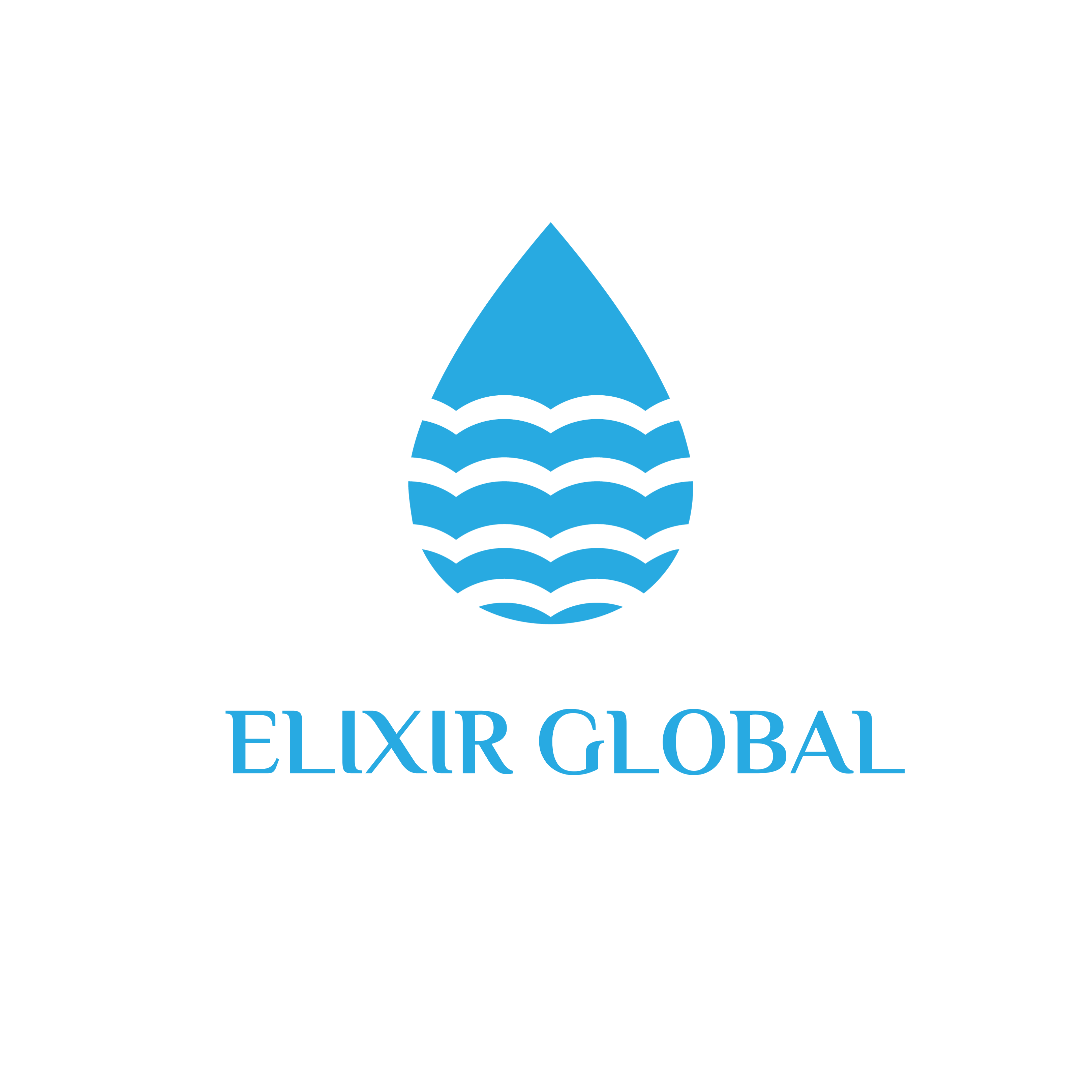 ELIXIR GLOBAL LLC
