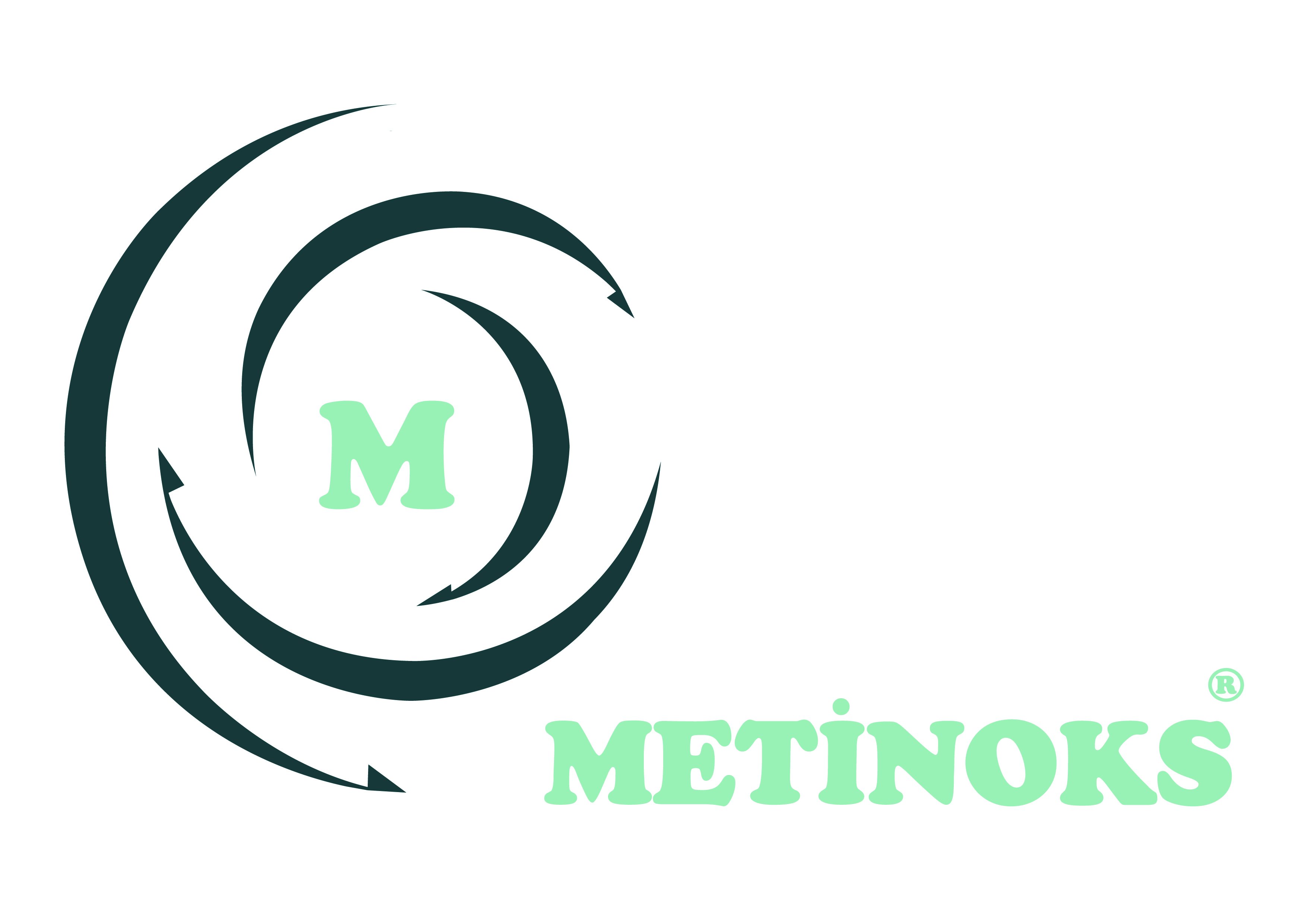 METINOKS MEKATRONIK SAN. TIC. LTD. STI.