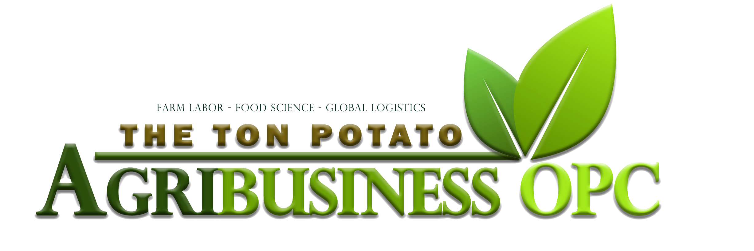 THE TON POTATO AGRIBUSINESS OPC