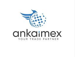 ANKA IMEX ITHALAT IHRACAT OTOMOTIV SANAYI VE TICARET LIMITED SIRKETI
