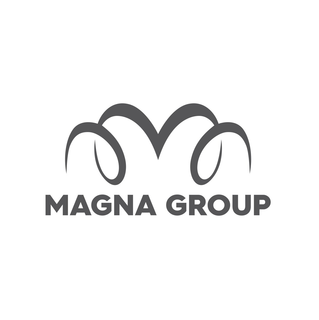 MAGNA GROUP SAGLIK HIZMETLERI TIBBI URUNLER KIMYEVI MADDELER ENERJI HAYVANCILIK SANAYI VE TICARET LIMITED SIRKETI