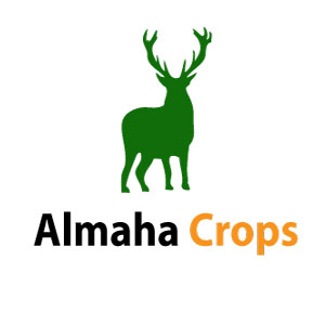 ALMAHA CROPS