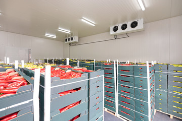 Portugal Cold storage facility companies list