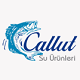 https://cdn.turkishexporter.com.tr/CALLUT SU URUNLERI LTD. STI.