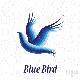 https://cdn.turkishexporter.com.tr/BLUEBIRD TRADE