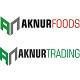 https://cdn.turkishexporter.com.tr/AKNUR ELEKTRONIK LTD. STI.
