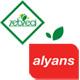 https://cdn.turkishexporter.com.tr/ALYANS YAS SEBZE MEYVE LTD. STI.