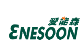 SHENZHEN ENESOON SCIENCE