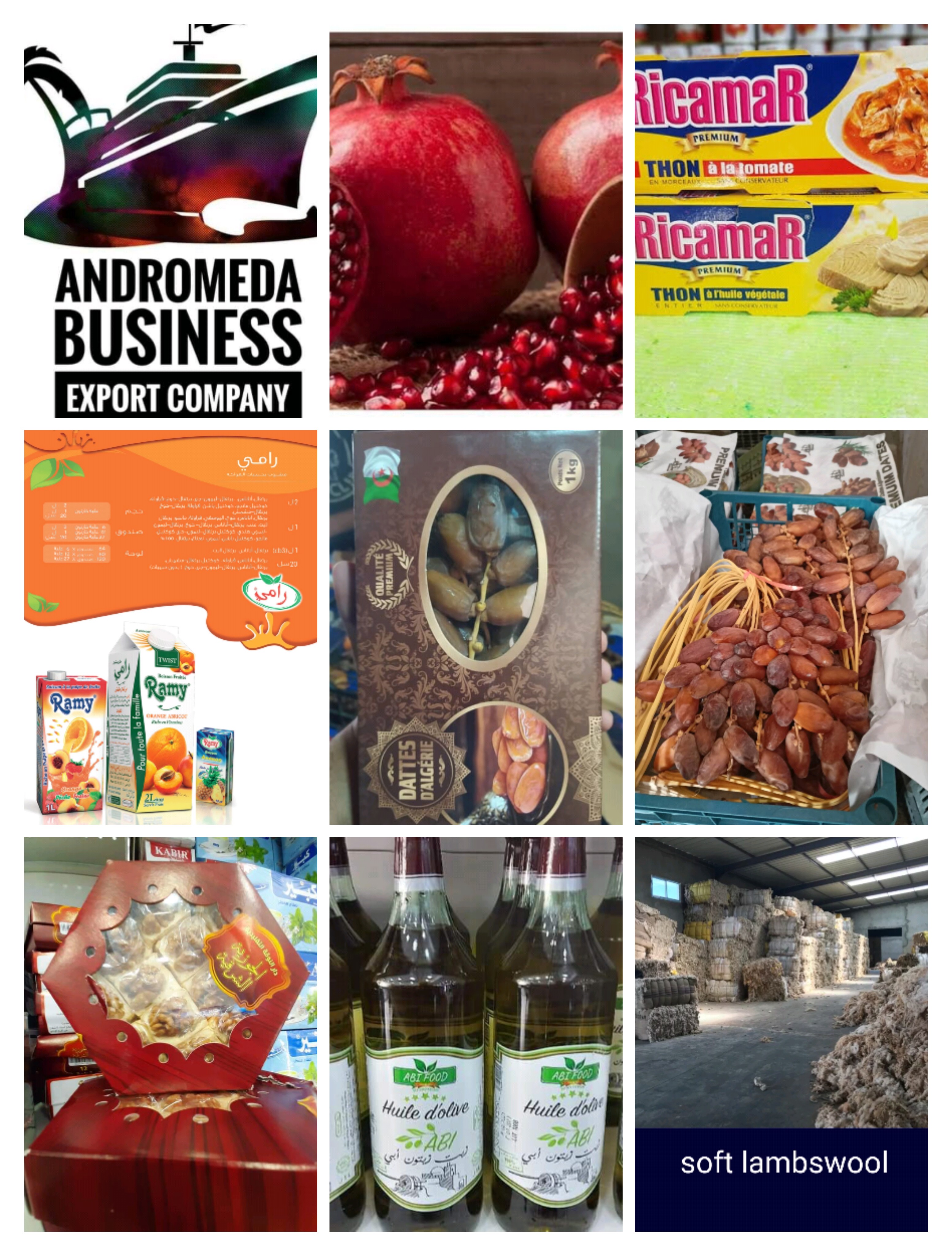 ANDROMEDA BUSINESS EXPORT COMPANY
