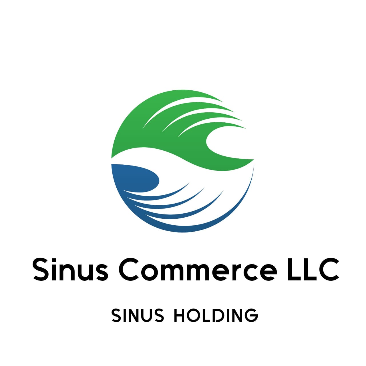 SINUS HOLDING LLC