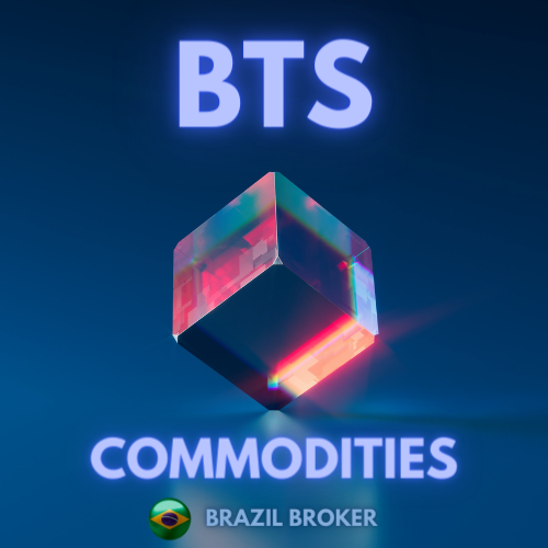 BTS COMODITIES - BRUNO TORRES DOS SANTOS