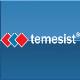 TEMESIST ENDUSTRIYEL DEPO VE RAF SISTEMLERI SANAYI DIS TICARET ANONIM SIRKETI