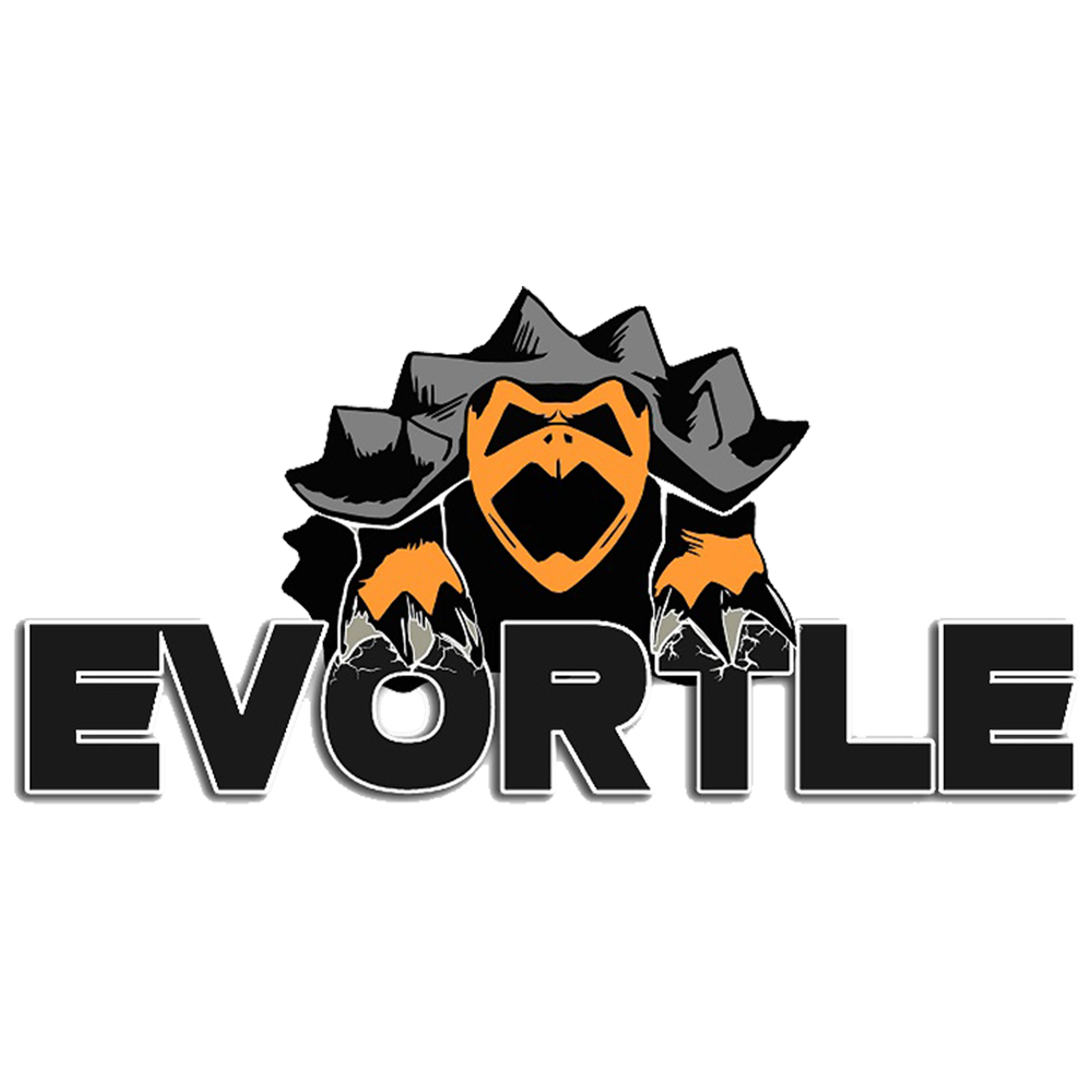 EVORTLE MAKINA IC VE DIS TICARET LIMITED SIRKETI