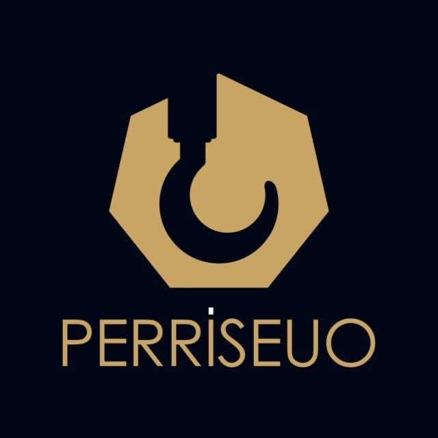 PERRISEUO GHANA LIMITED
