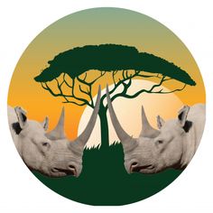 INSIDE AFRICA TRAVEL BUDGET SAFARIS