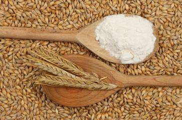 Flour Mill in Australia, HS Code 843780