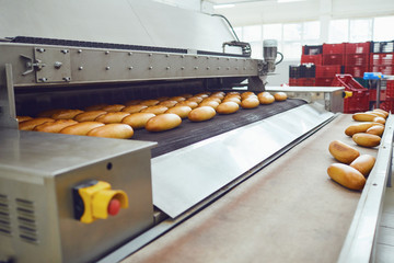 Bakery equipment in Spain, HS Code 843810