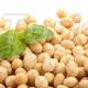 Soybean For Sales / Top Quality Available For Exportation