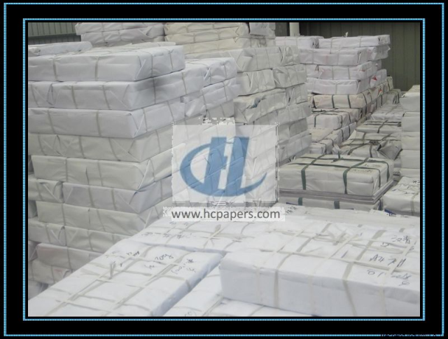 Privode A4 Copy Paper