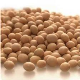 Dry Soybean kernel in Cameroon supplying