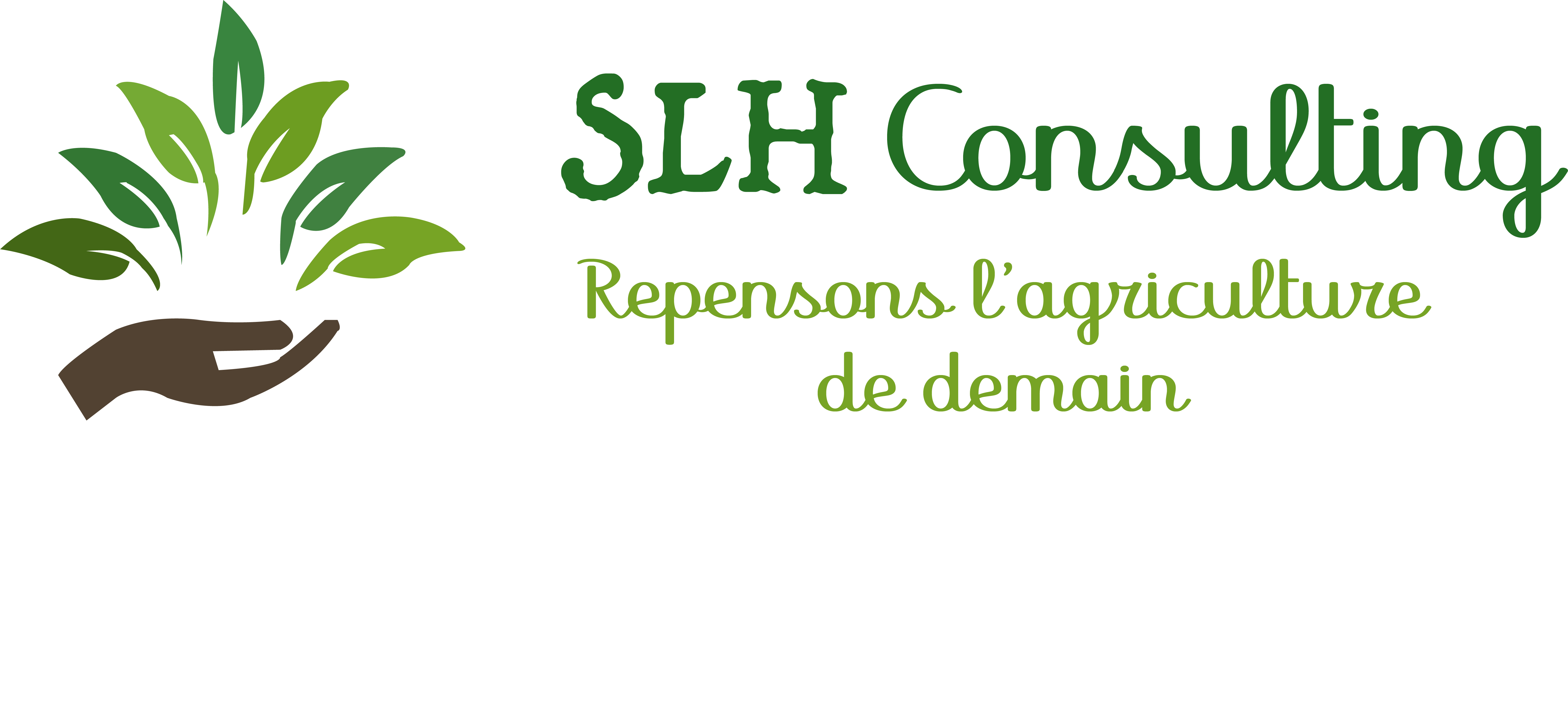 SLH CONSULTING SARL