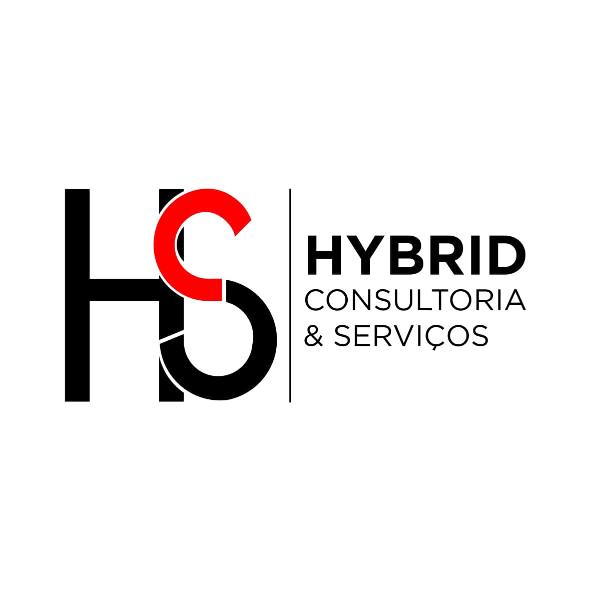 HYBRID CONSULTORIA E SERVIÇOS LDA