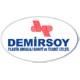 DEMIRSOY PLASTIK  LTD. STI.