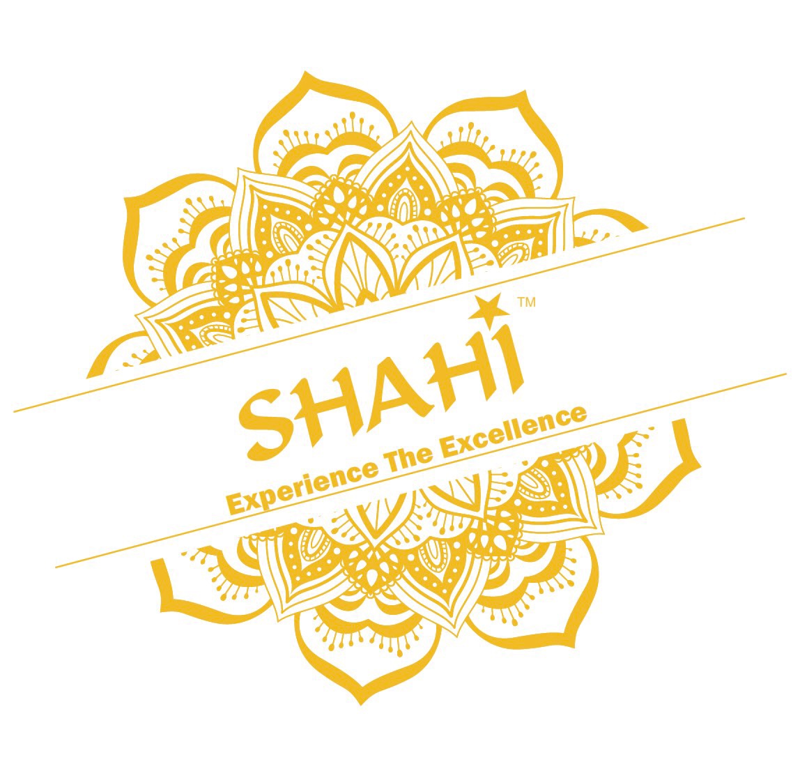 SHAH INTERNATIONAL TRADES PRIVATE LIMITED