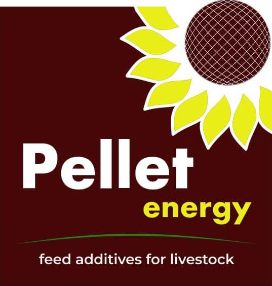 PELLETENERGY LLC