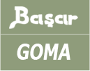 BASAR TICARET VE GIDA SANAYI A.S.