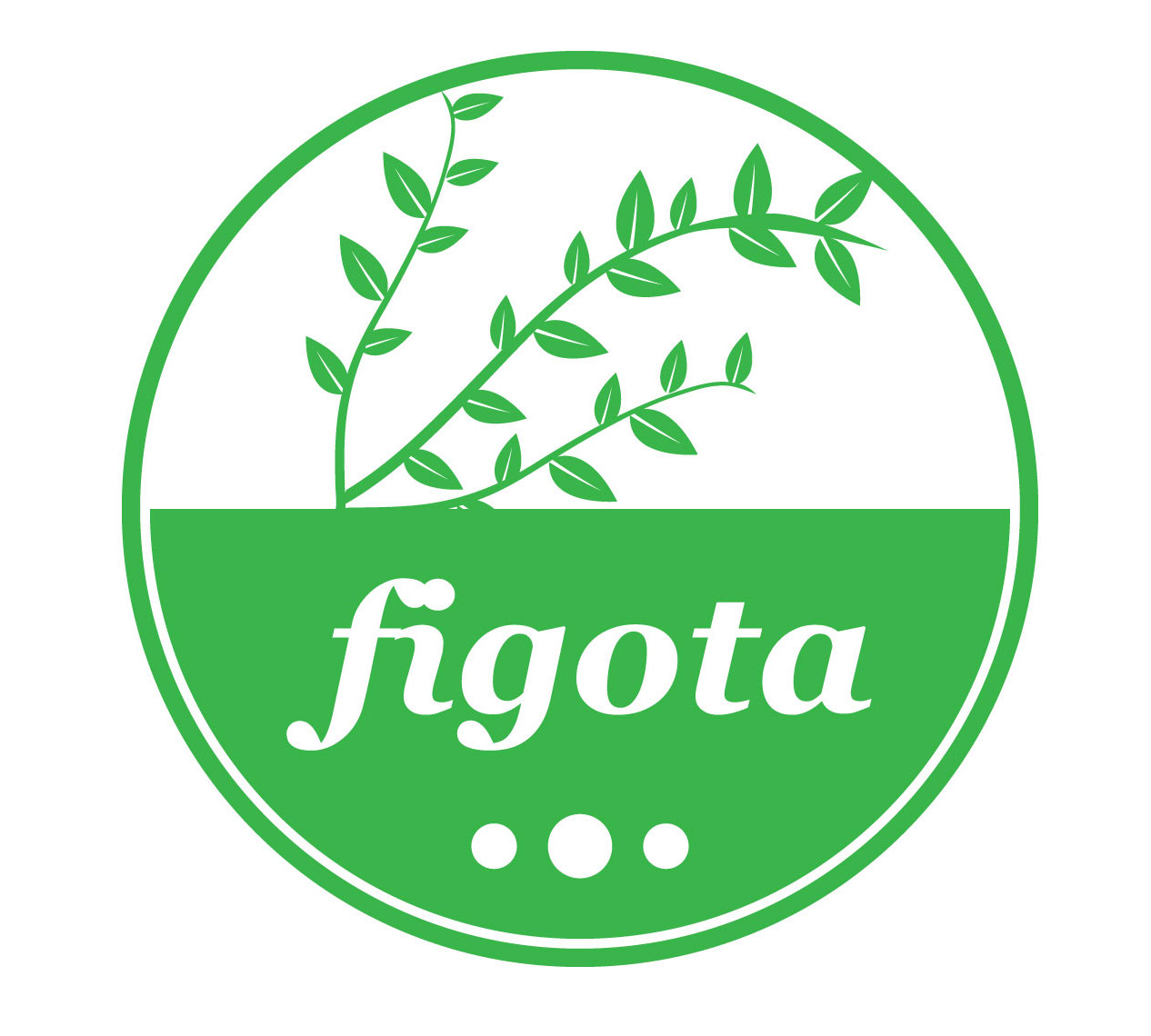 FIGOTA PRODUCE CO., LLC