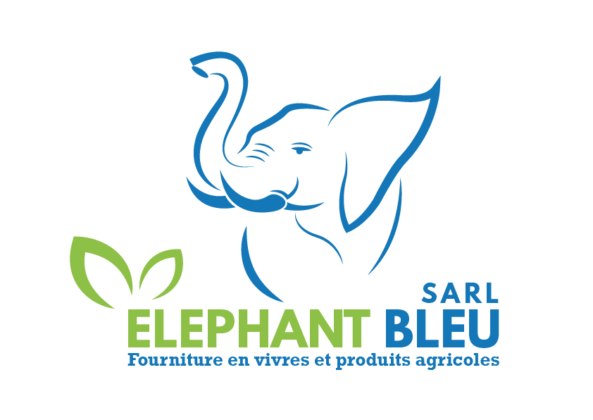 ELEPHANT BLEU SARL