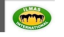 ILMAS INTERNATIONAL