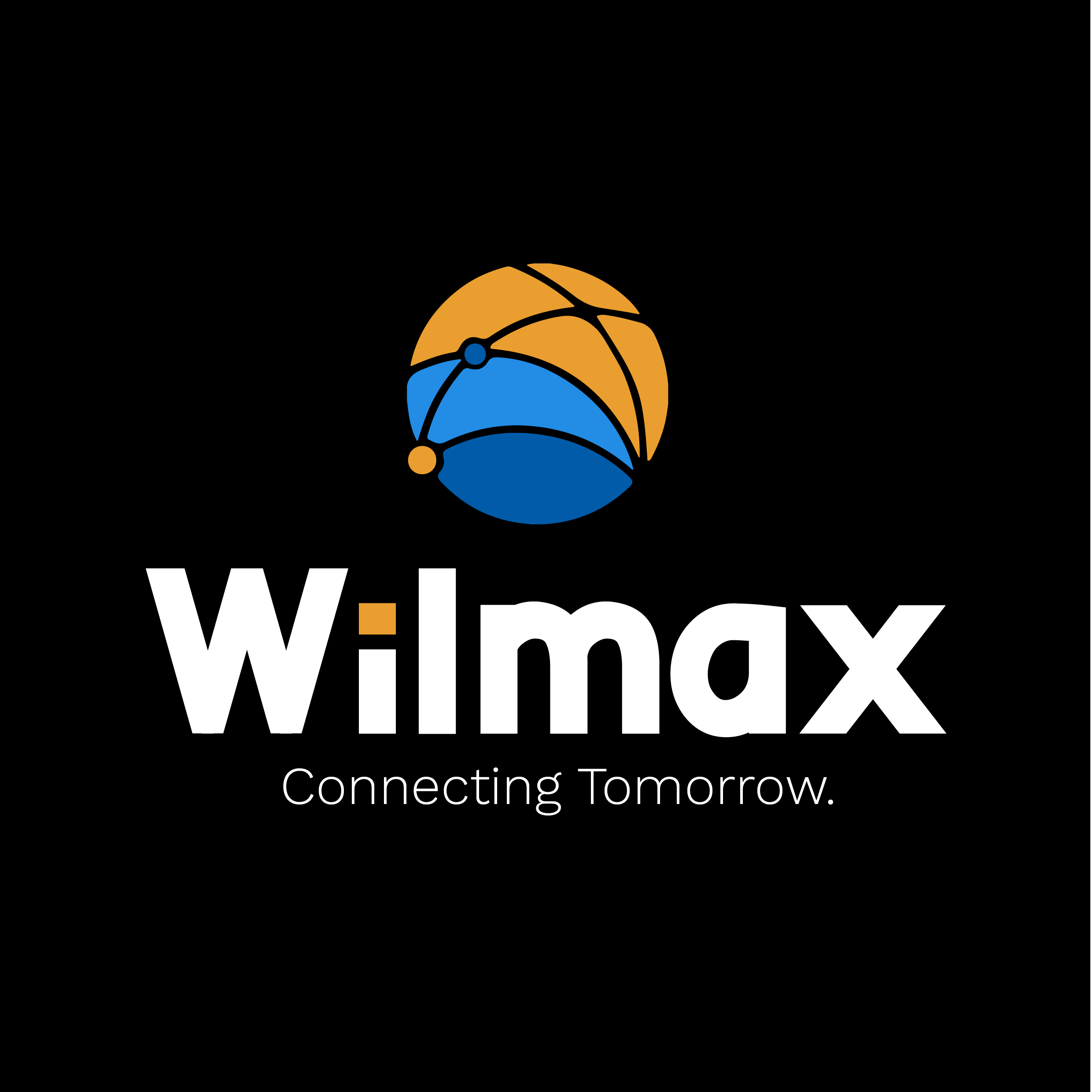 WILMAX LTD