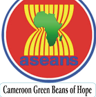 ASEANS CAMEROON PVT LTD