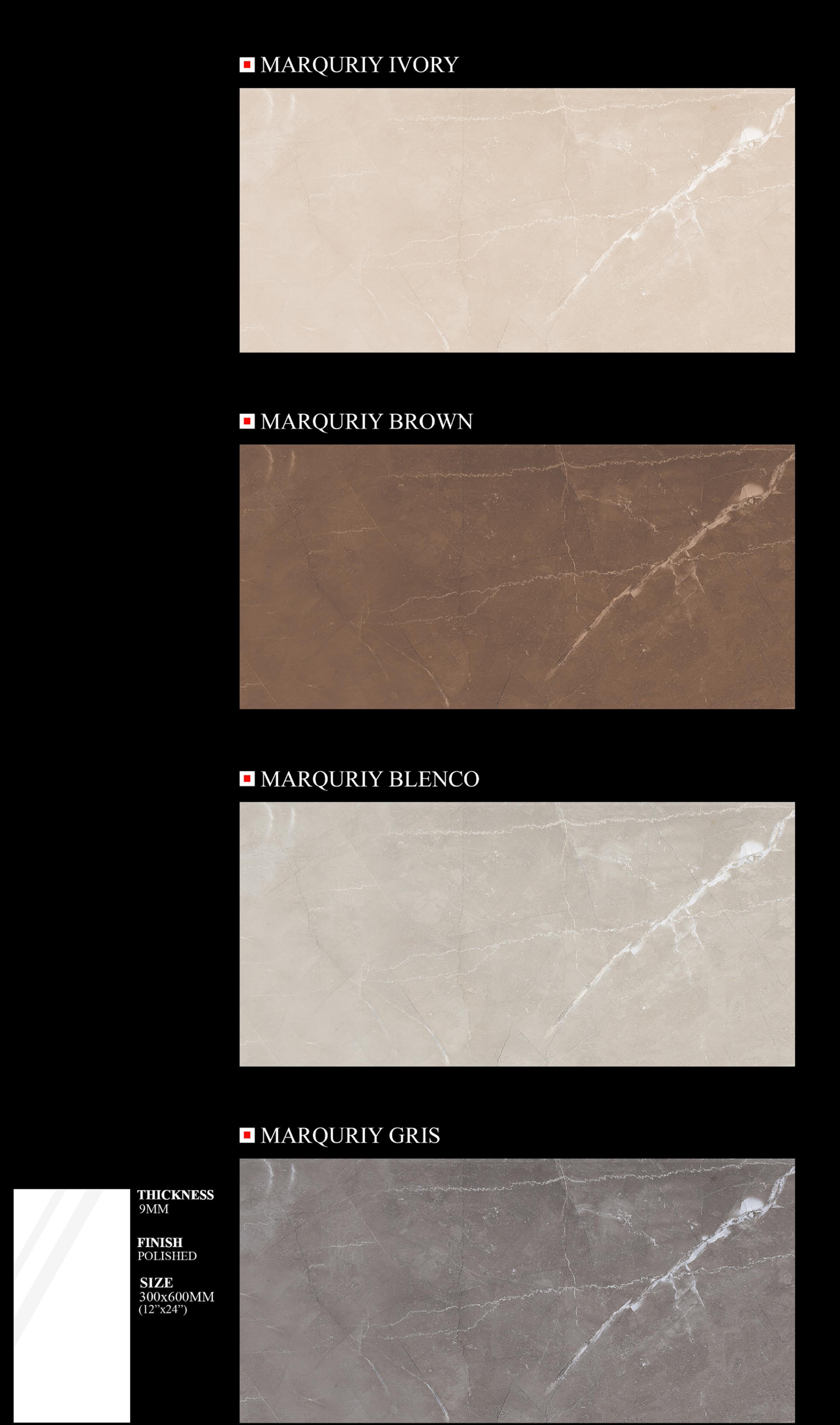 300x600 MM Porcelain tiles