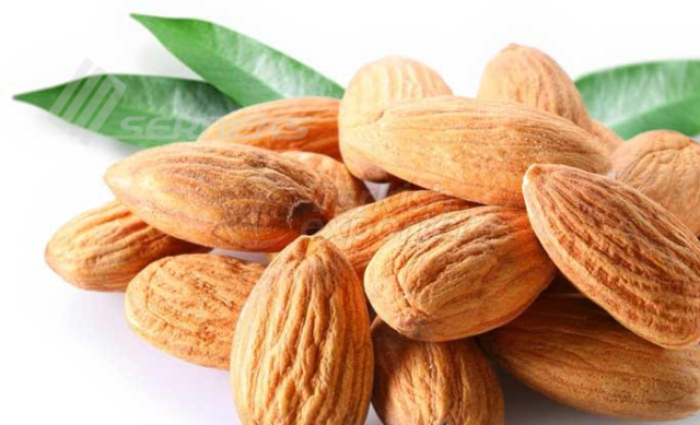 Almonds