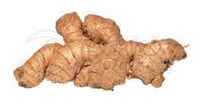 Ginger