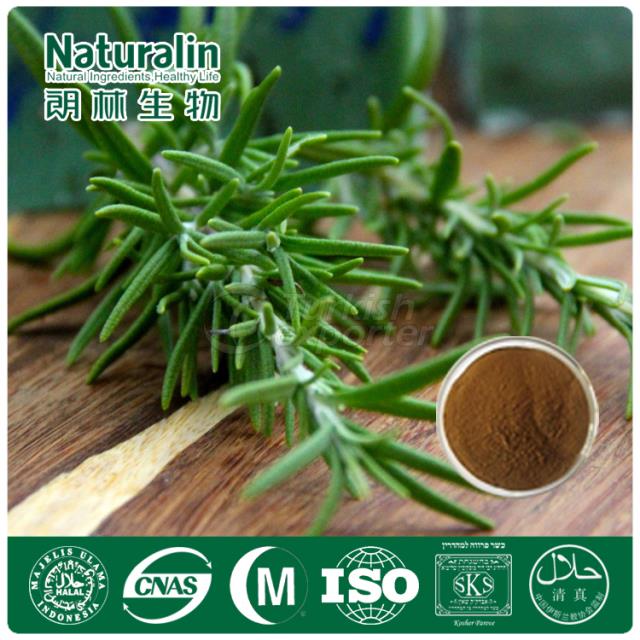 Rosemary Extract