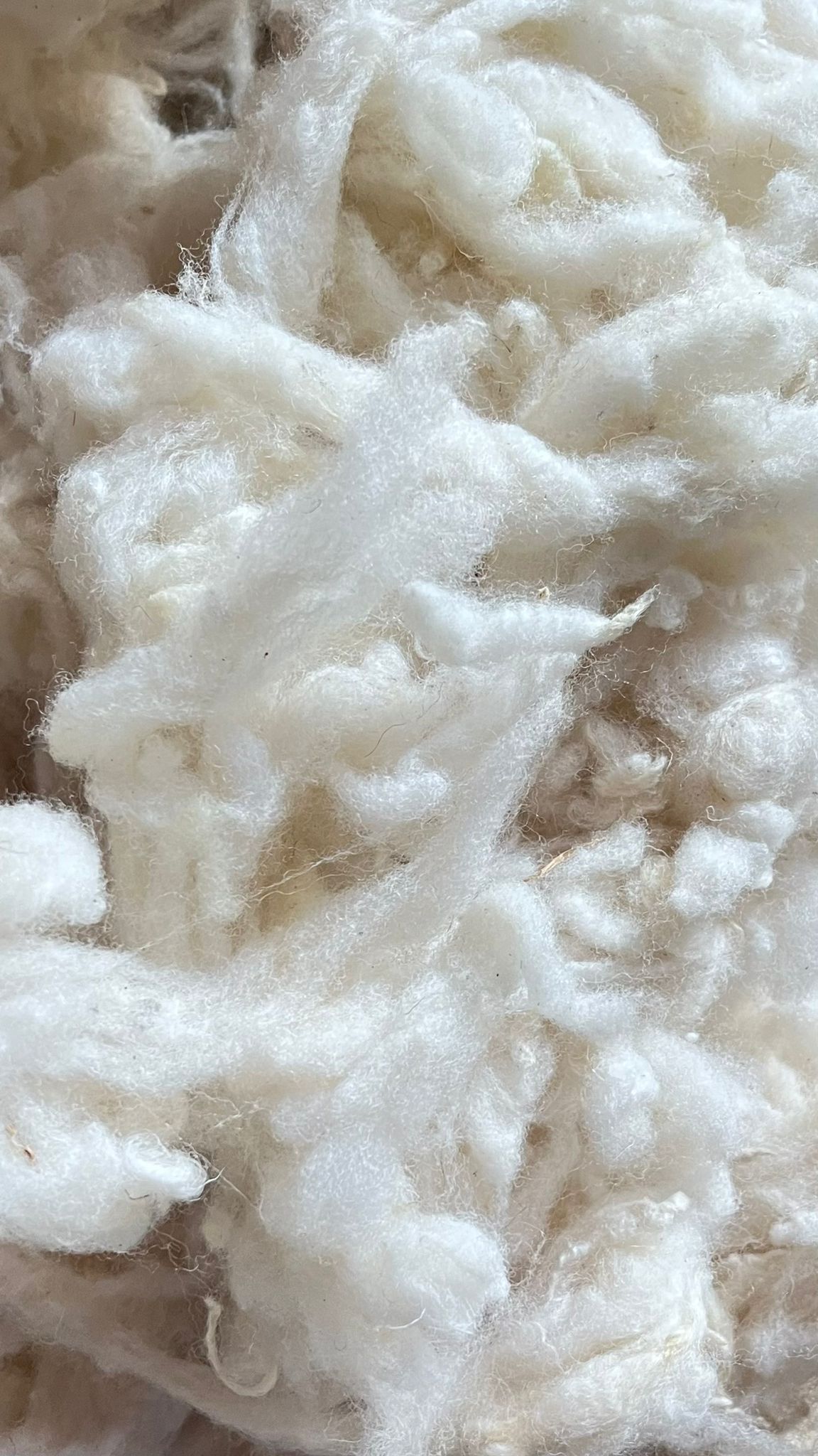 BRITISH WOOL