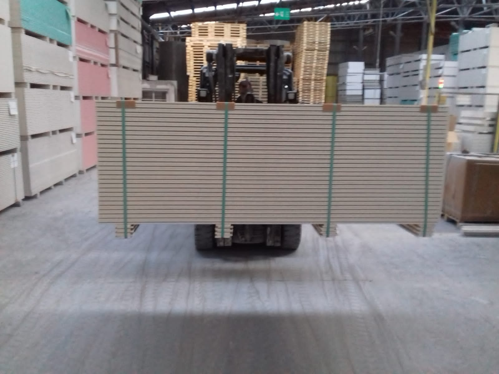 Gypsum board