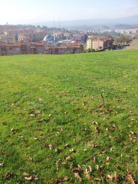 House Hydroseedi̇ng