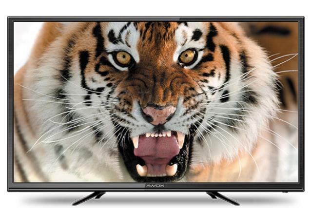 Television