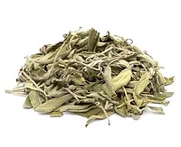 Sage Tea 