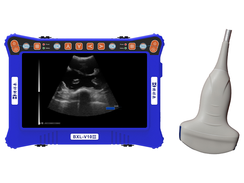 Portable veterinary ultrasound instrument