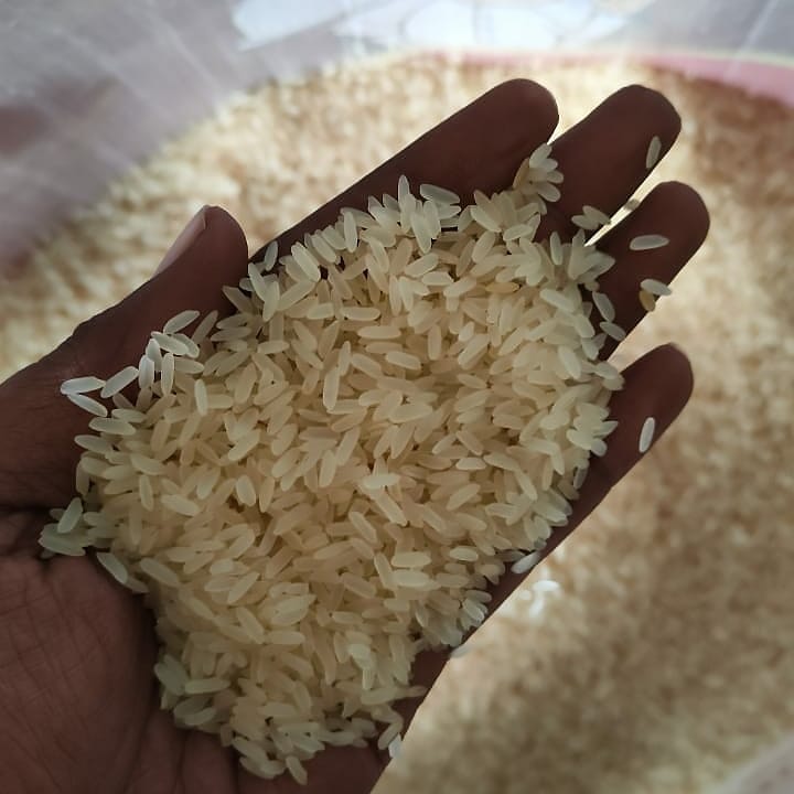 RICE