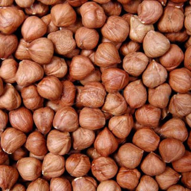 RAW HAZELNUT KERNELS