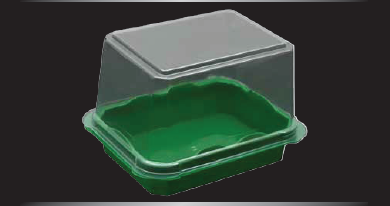 Plastic Packaging
