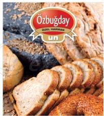 Standart Flour-Koyum Bran Flour