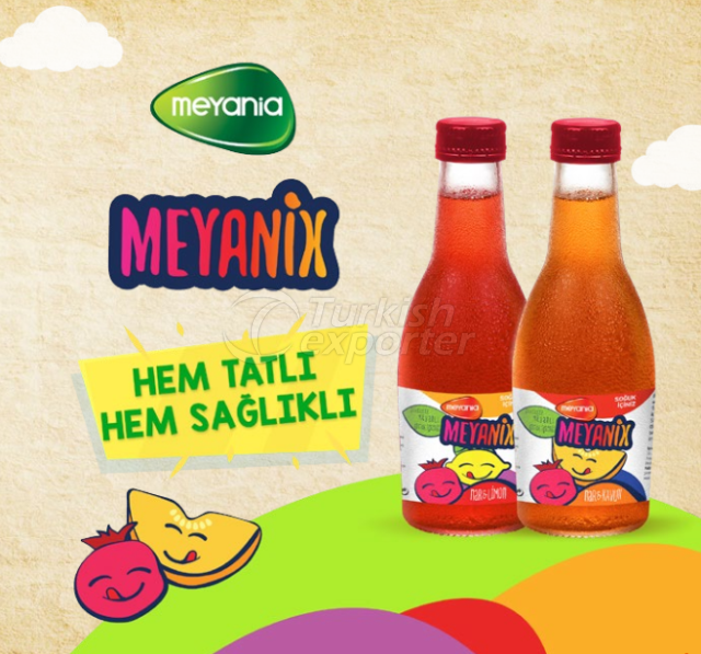 MEYANIX